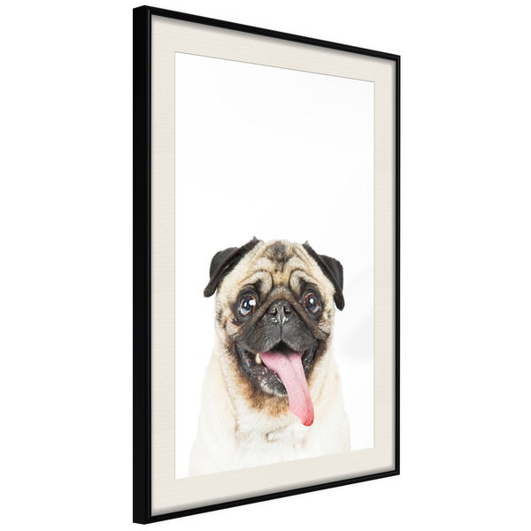 Poster 'Pug'