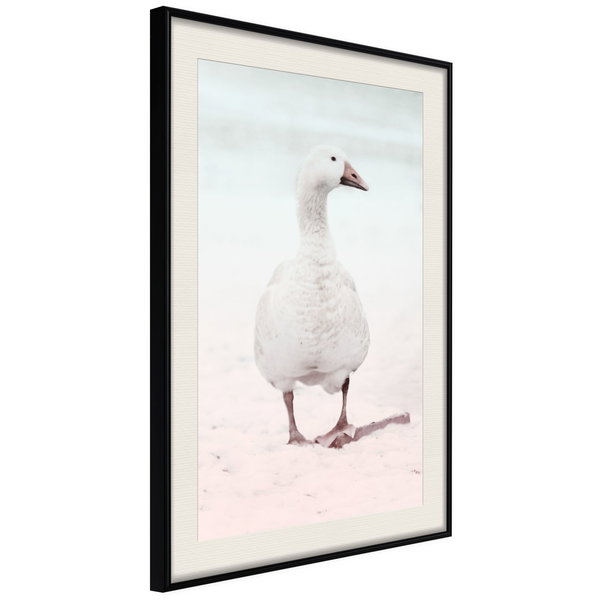 Poster 'Walking Goose'