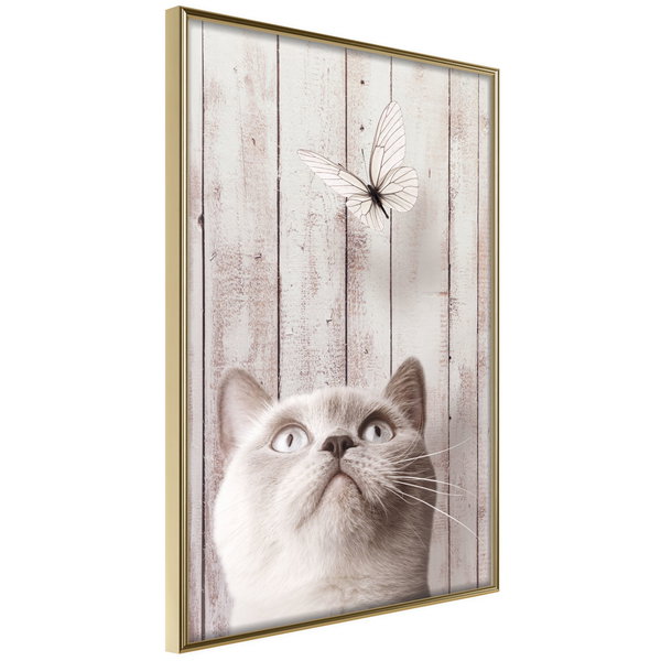 Poster 'Piercing Look'