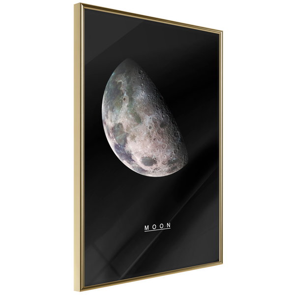 Poster 'Moon'