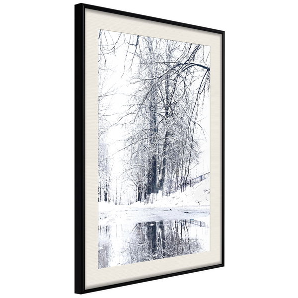 Poster 'Snowy Park'