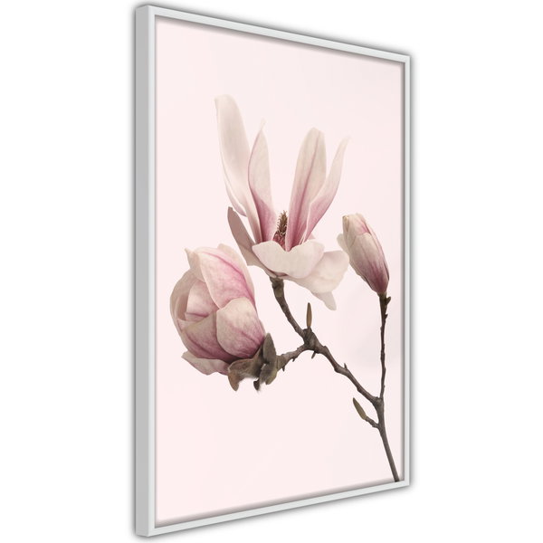 Poster 'Blooming Magnolias II'