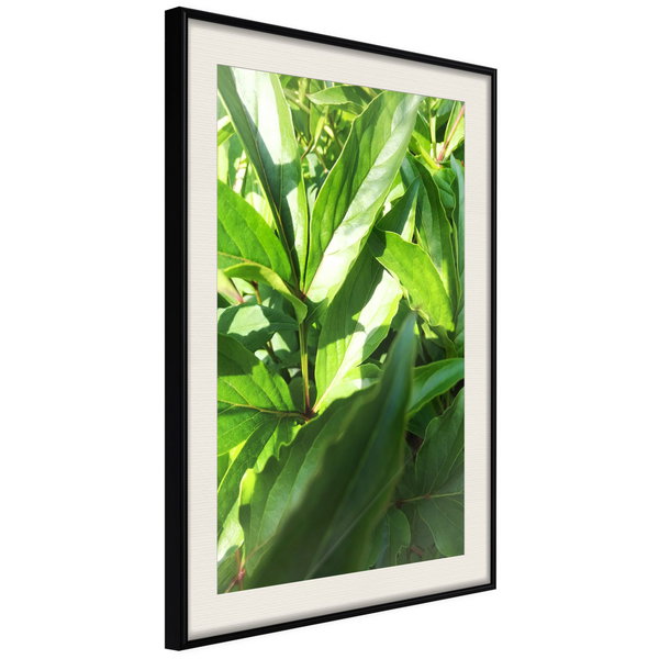 Poster 'Somewhere in the Garden'