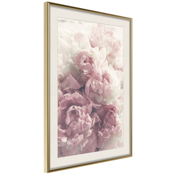 Poster 'Delicate Peonies'
