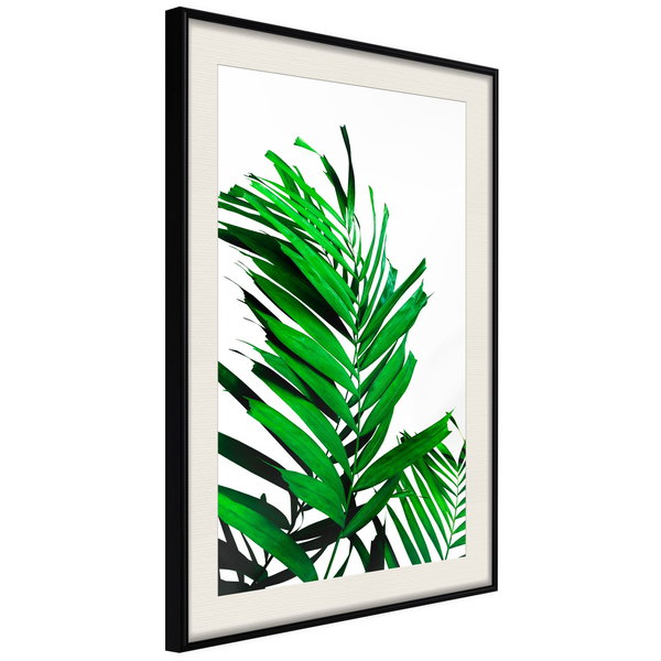 Poster 'Emerald Palm'