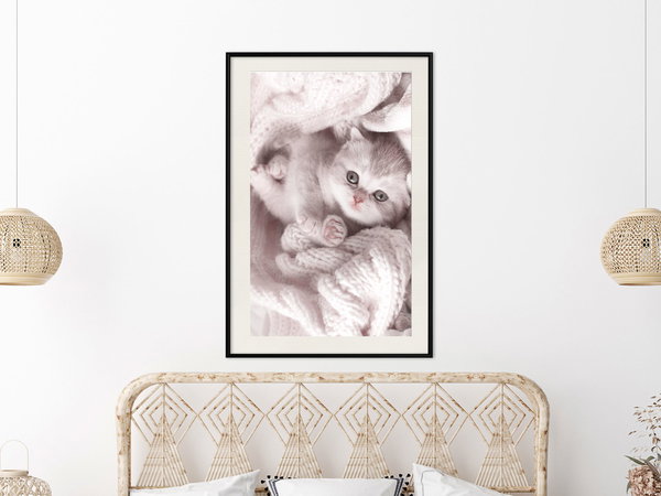 Poster 'Lover of Rest'
