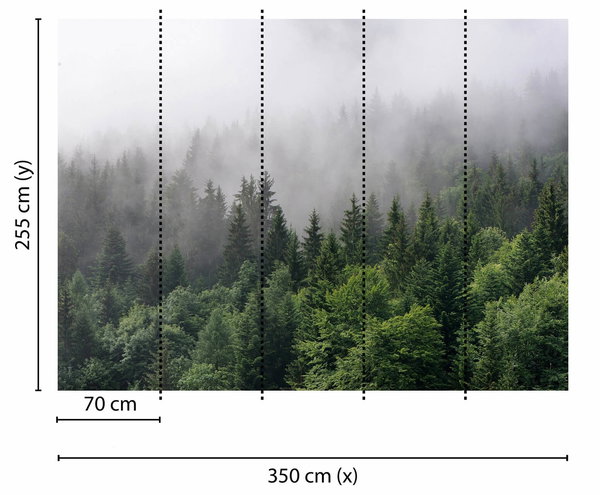 Tapete 'Foggy Fir Trees' 350x255cm