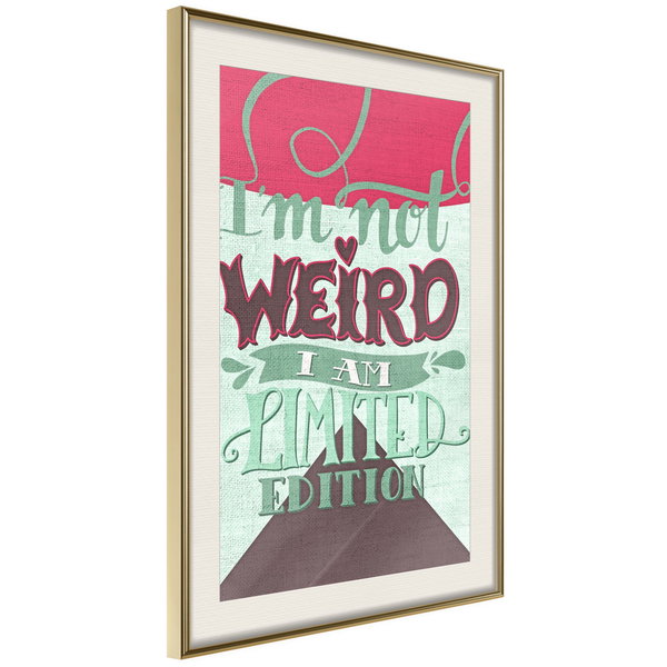Poster 'I'm Not Weird'