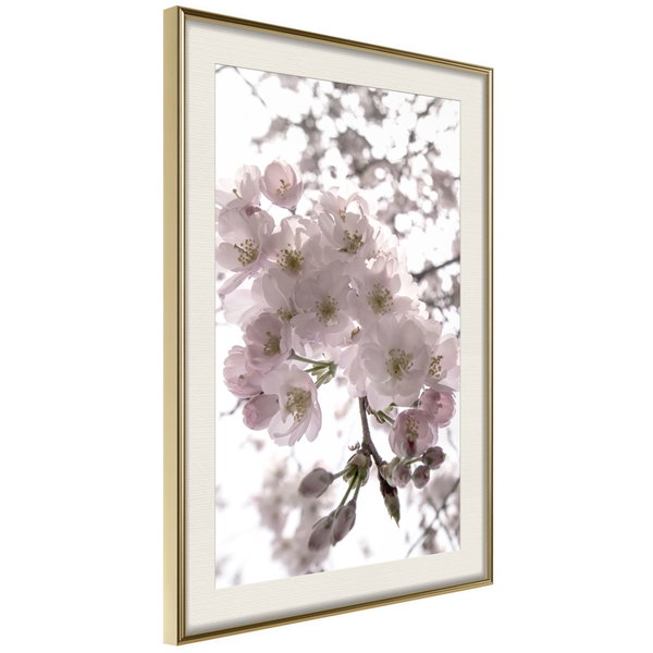 Poster 'Spring Visit'