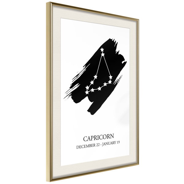 Poster 'Zodiac: Capricorn I'