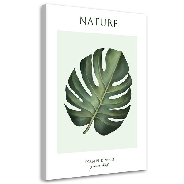 Stampa su tela 'Green Leaf #2'