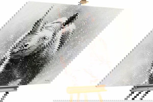 Een uniek exemplaar voor je interieur