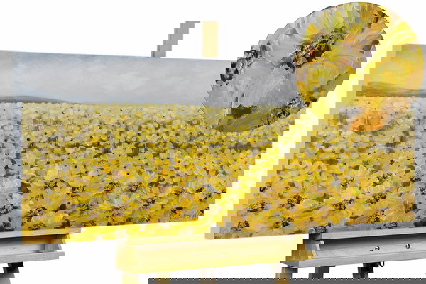 Arte contemporáneo para su hogar