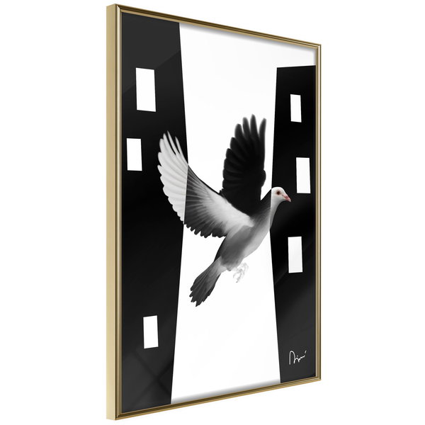 Poster 'Caught in Flight'