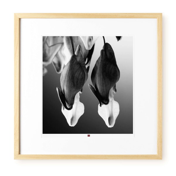 Limitierte Fotokunst