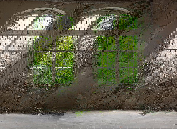 Behang 'Old Window' 350x255cm