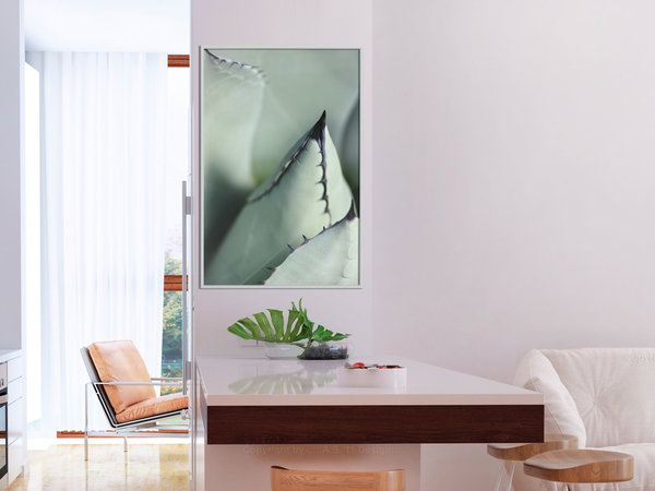 Poster 'Young Leaf of Agave'