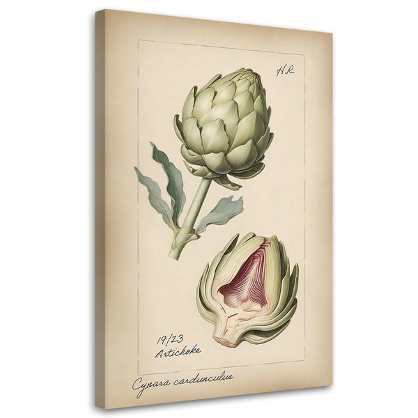 Kunstdruck auf Leinwand 'Artichoke'