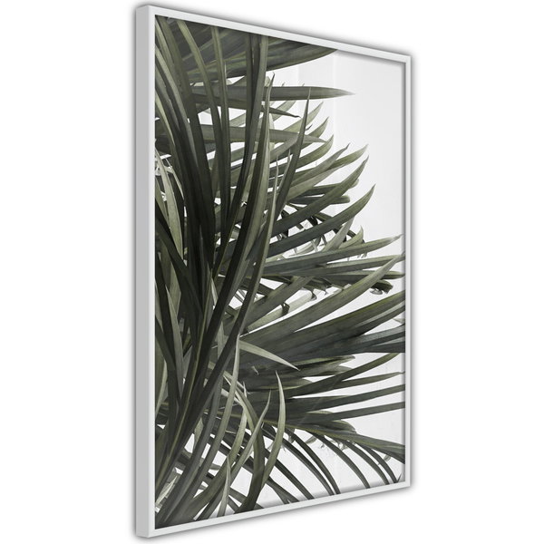 Poster 'Little Tropics'