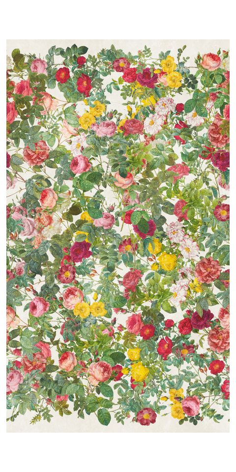 Tapet 'Peony Paradise' 159x280cm