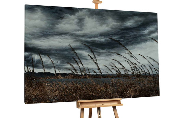 Un ejemplar único para su hogar o puesto de trabajo