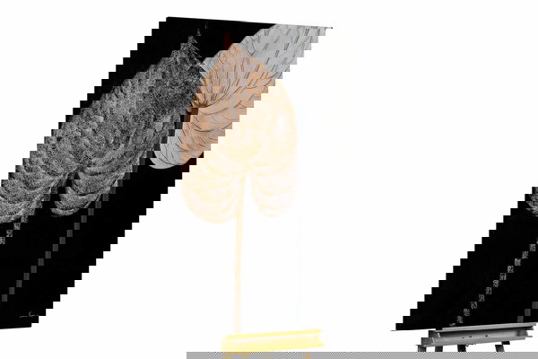 Un ejemplar único para su hogar o puesto de trabajo