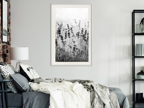 Poster 'Shadow of Meadow'