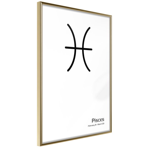 Poster 'Zodiac: Pisces II'