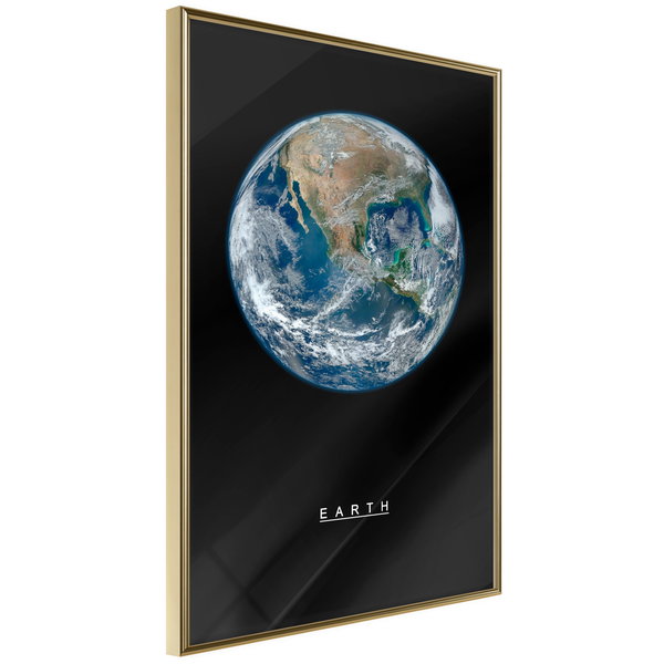 Poster 'Earth'