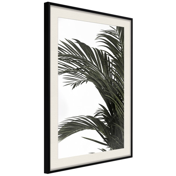 Póster 'Jungle Scent'