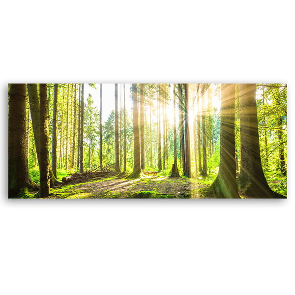Kunstdruck auf Leinwand 'Green Forest Sunlight 3'