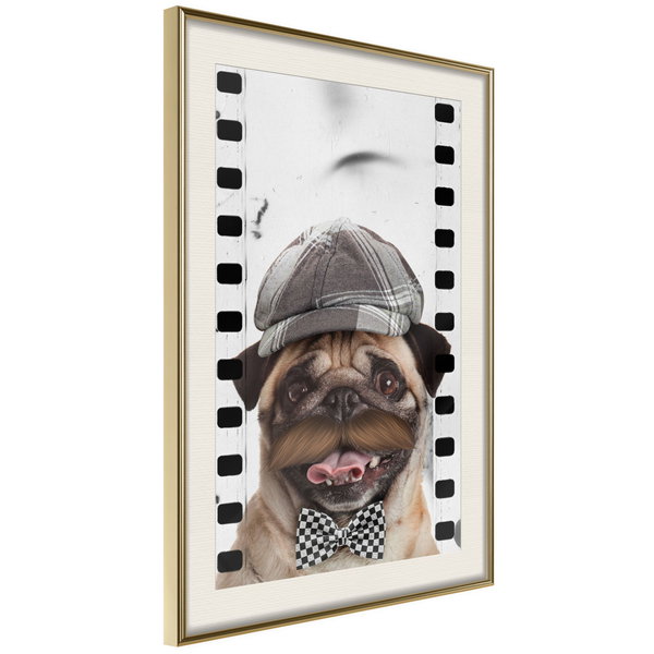 Poster 'Pug In Hat'