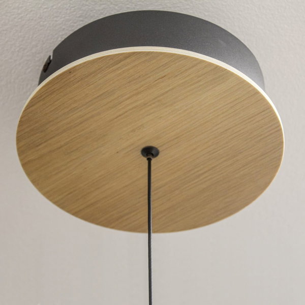 Suspension luminaire 'Dina'