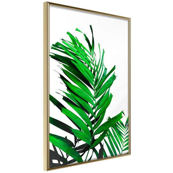 Poster 'Emerald Palm'