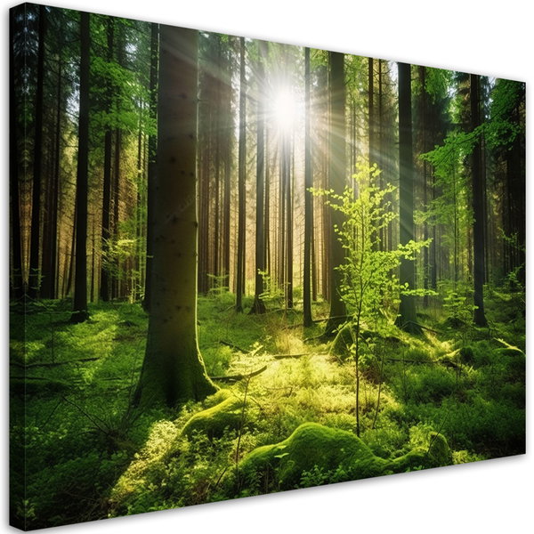 Kunstdruck auf Leinwand 'Green Forest Sunlight 1'