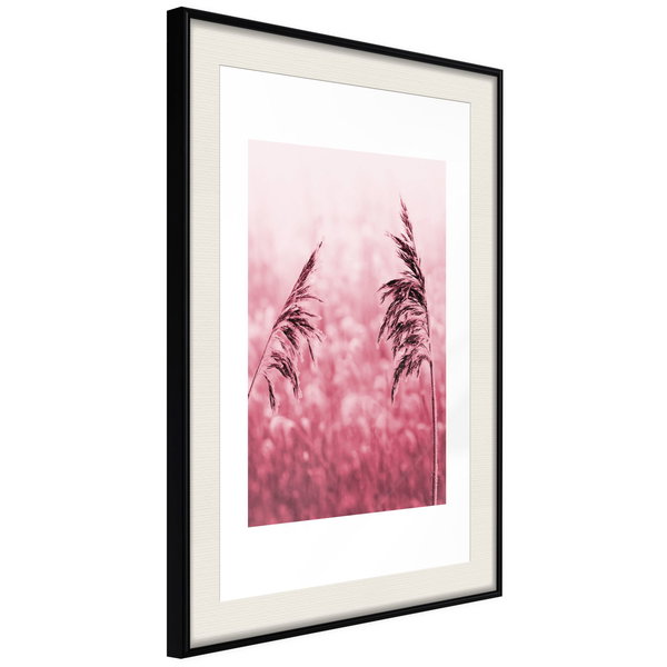 Poster 'Amaranth Meadow'