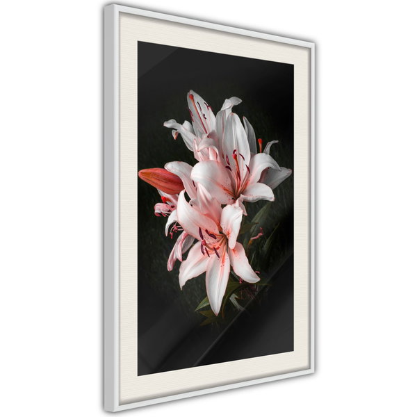 Poster 'Pale Pink Lilies'