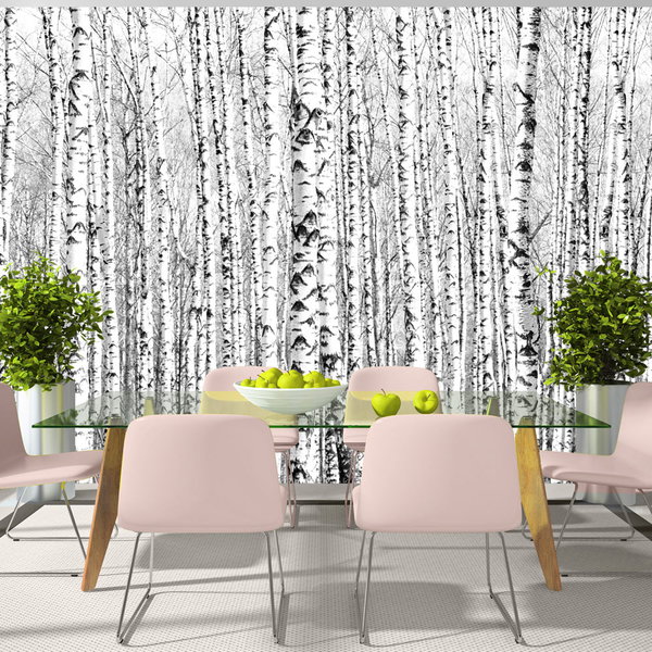 Papel de parede 'Birch forest'