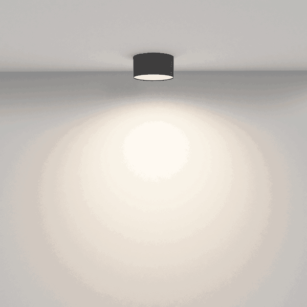 Plafondverlichting 'Zon 12'