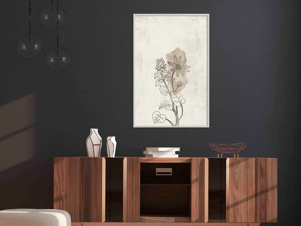 Poster 'Life of Plants'