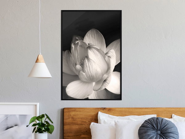 Poster 'Delicacy of a Flower'
