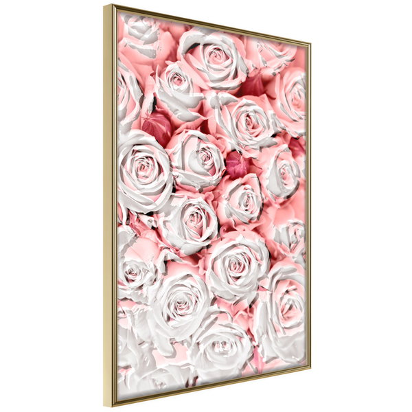 Poster 'White Rosaes'