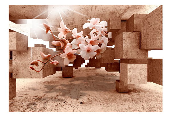 Selbstklebende Tapete 'Curiosities of Nature'