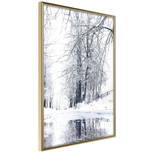 Poster 'Snowy Park'