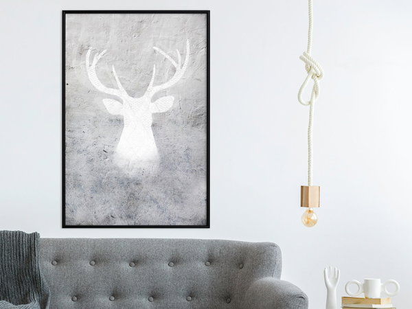 Poster 'White Shadow'