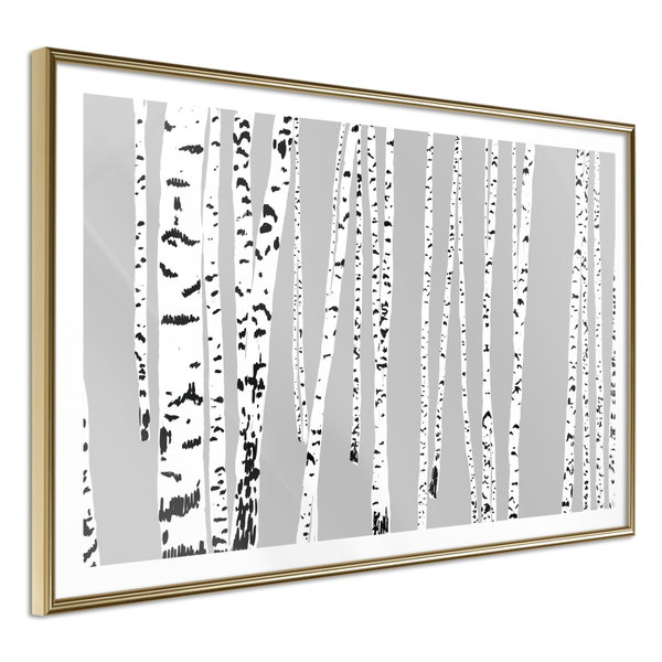 Juliste 'Birch Wood'