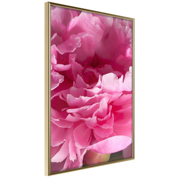 Poster 'Beautiful Peonies'