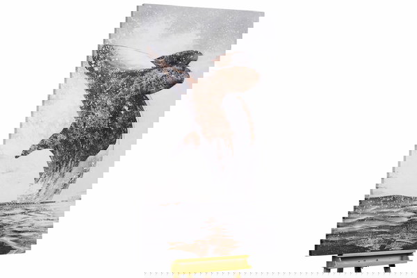 Unikat za sva četiri zida