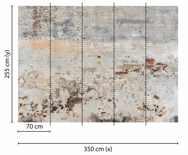 Tapete 'Old Wall' 350x255cm