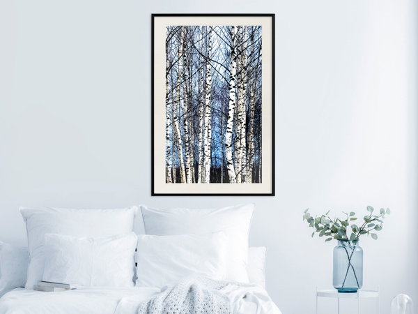 Poster 'Winter Birch Trees'